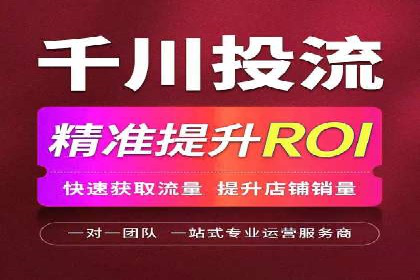 金融行业SEM服务的创新应用与效果
